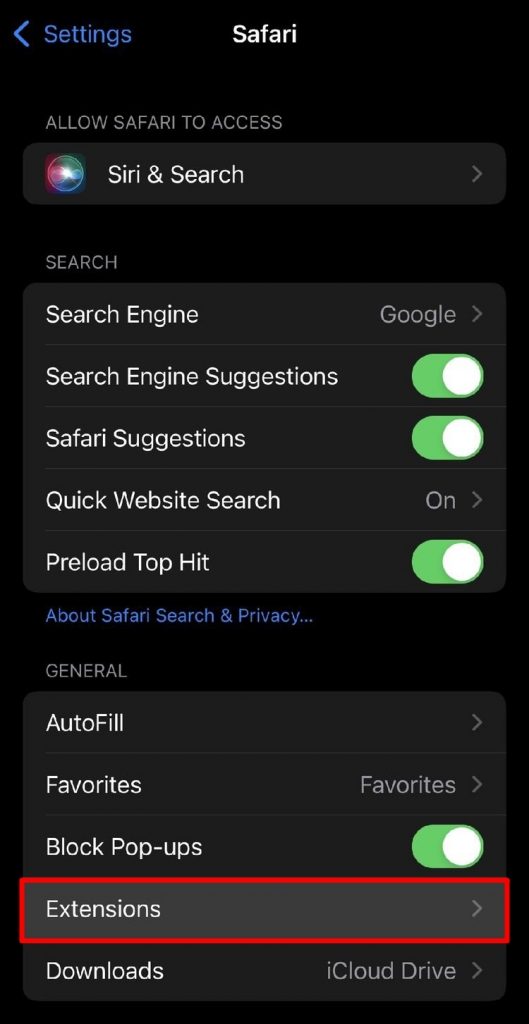 如何在 Safari iPhone/iPad 上安装和使用扩展？