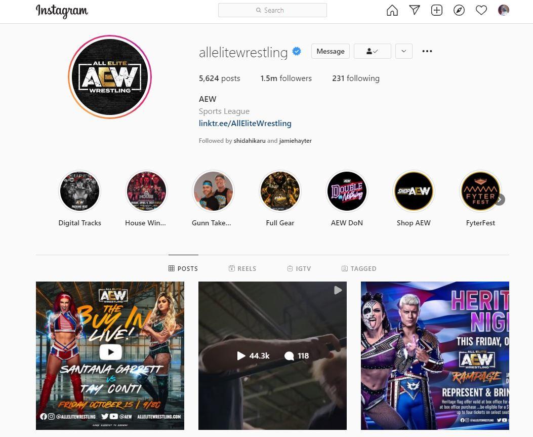 Search-for-the-account-from-where-you-want-to-download-multiple-images