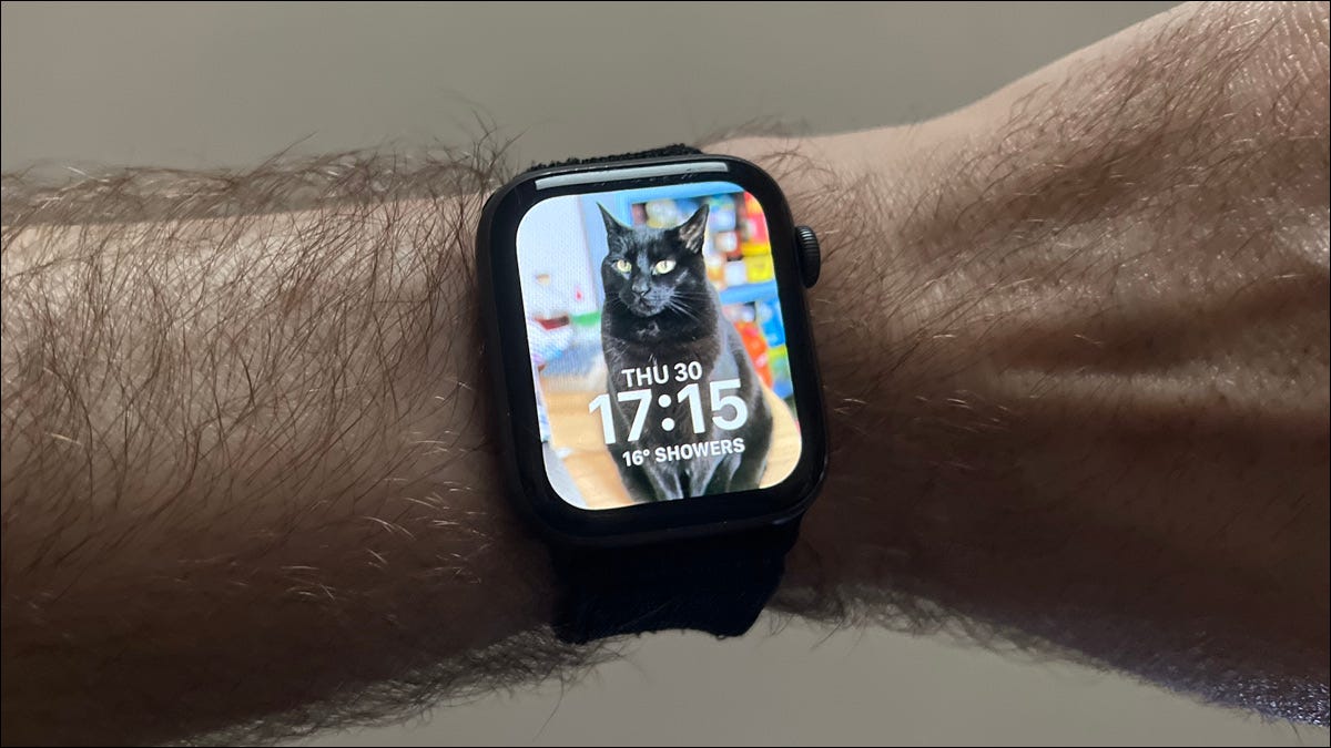 如何将人像照片设置为 Apple Watch Face
