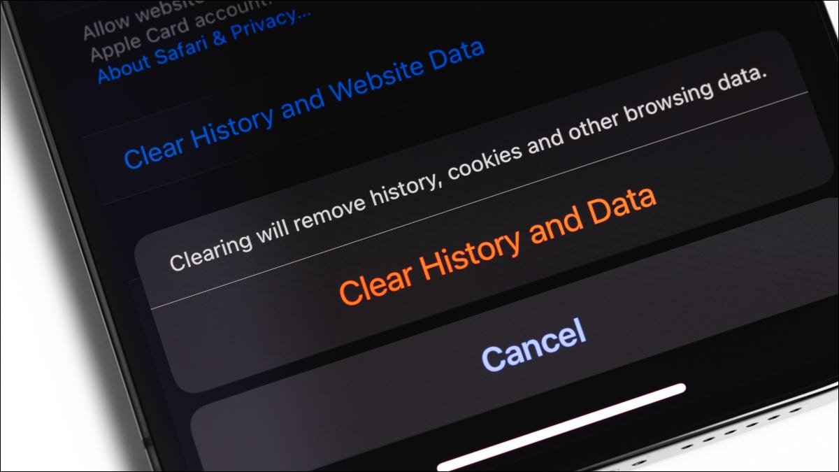 如何从 iPhone 或 iPad 上的 Safari 删除特定网站历史记录