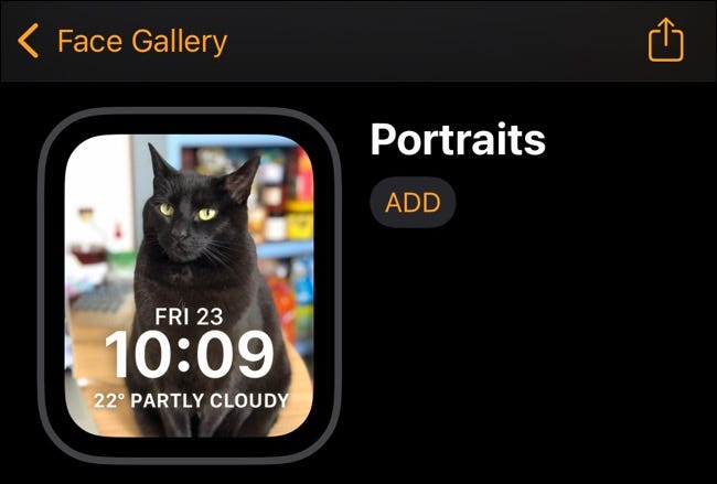 portraits_add