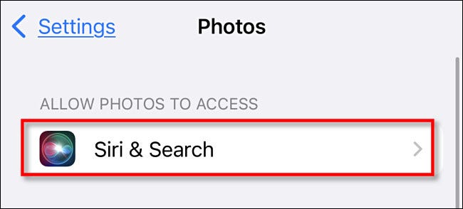 如何在 iPhone 上的 Spotlight 搜索结果中关闭照片