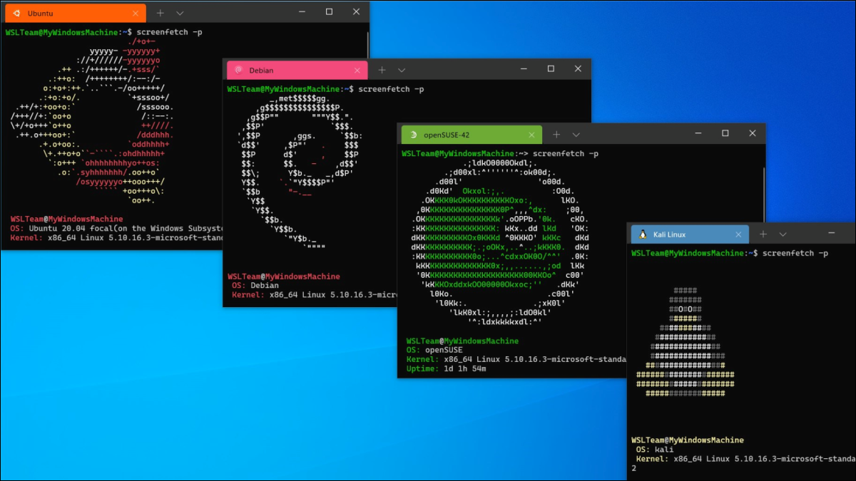 适用于 Linux 的 Windows 11 的 Windows 子系统获得更快的更新 适用于 Linux 的 Windows 11 的 Windows 子系统获得更快的更新