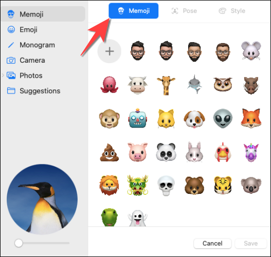 Select-the-memoji-section