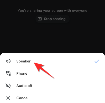 如何在 Google Meet 上分享音频 如何在 Google Meet 上分享音频