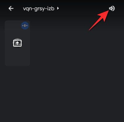 如何在 Google Meet 上分享音频 如何在 Google Meet 上分享音频