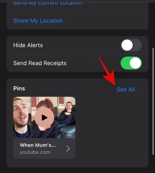 iOS 15：当您在 iMessage 中固定某些内容时会发生什么