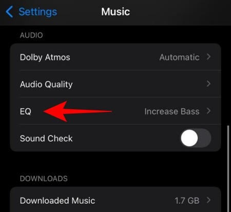 ios-15-carplay-issues-7