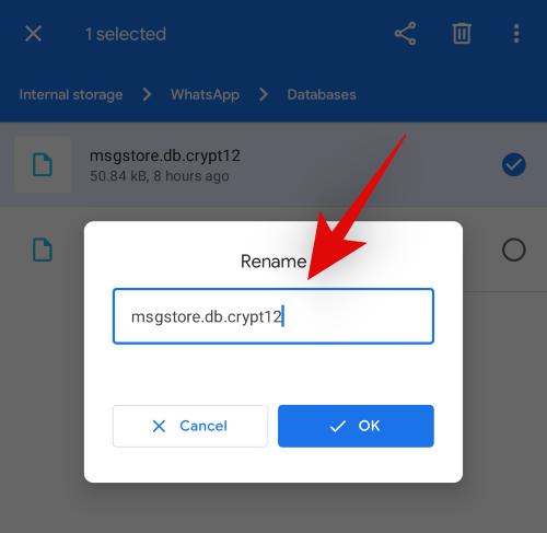 recover-whatsapp-post-update-5