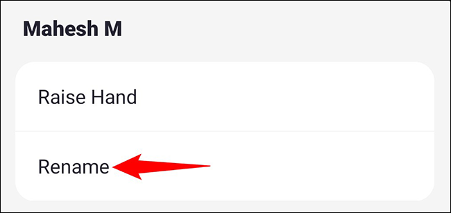 如何在 Zoom 上更改您的姓名 如何在 Zoom 上更改您的姓名