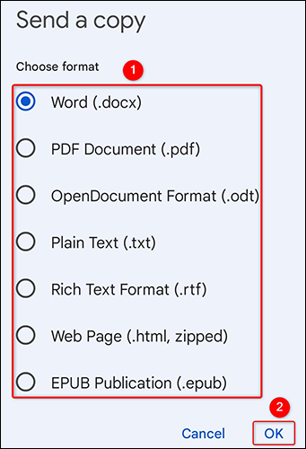 9-choose-google-doc-format