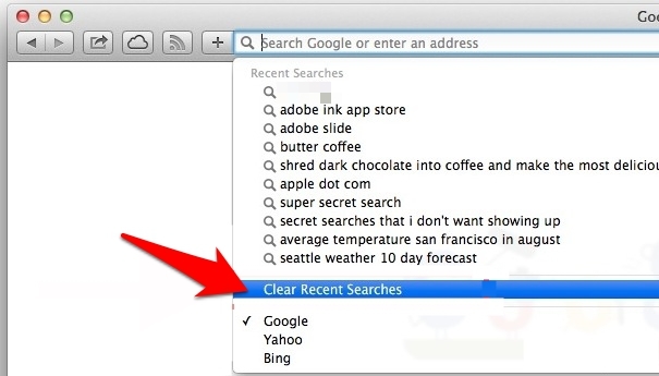 如何清除 Safari 浏览器中的搜索词历史记录？