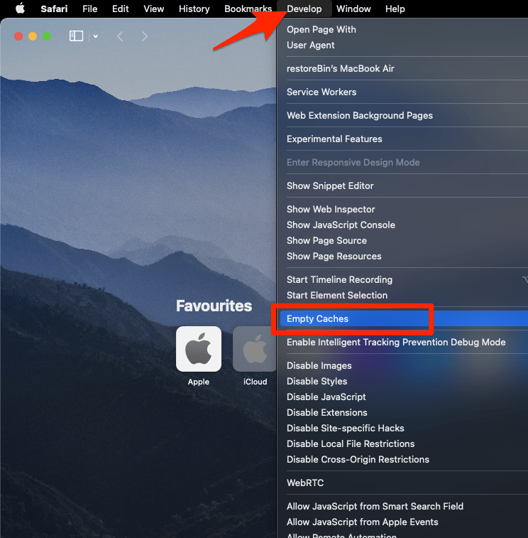 Empty_Caches_from_Develop_menu_in_Safari_browser