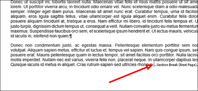 如何在 Microsoft Word 中插入分节符 如何在 Microsoft Word 中插入分节符