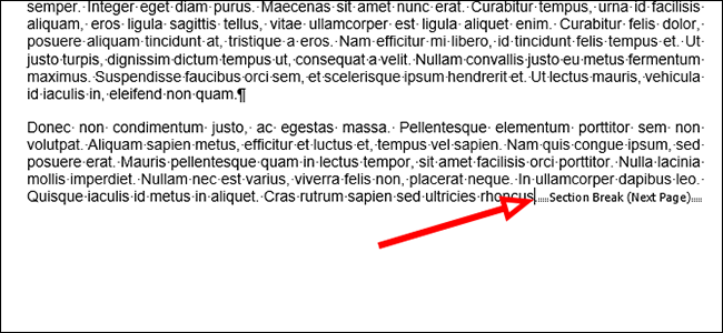 如何在 Microsoft Word 中插入分节符 如何在 Microsoft Word 中插入分节符