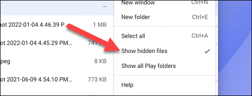 如何在 Chromebook 上隐藏文件和文件夹