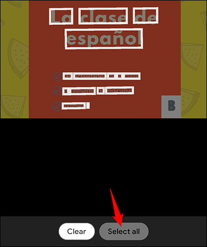 9-google-translate-all