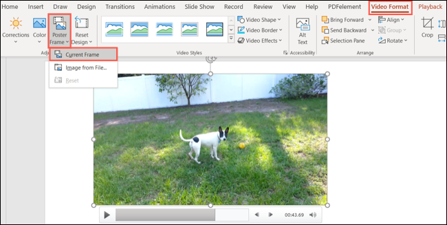 CurrentFrame-PowerPointVideoImage