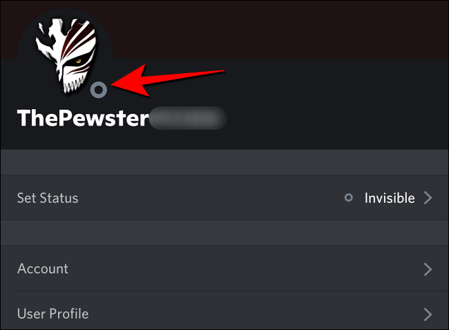 Gray-circle-indicating-offline-invisible-status-in-Discord-mobile