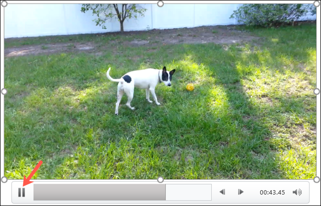 Pause-PowerPointVideoImage-1