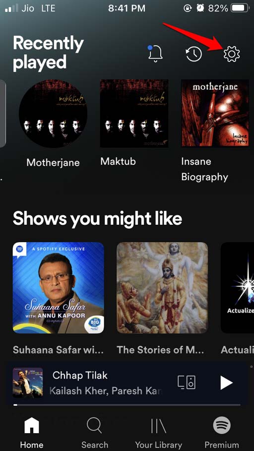Spotify-in-app-settings