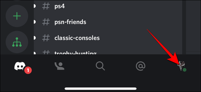 Tap-on-discord-profile-picture-on-mobile