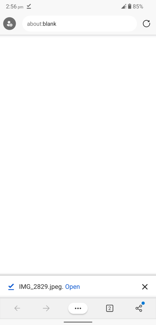 11-File-Downloaded-615x1280-1