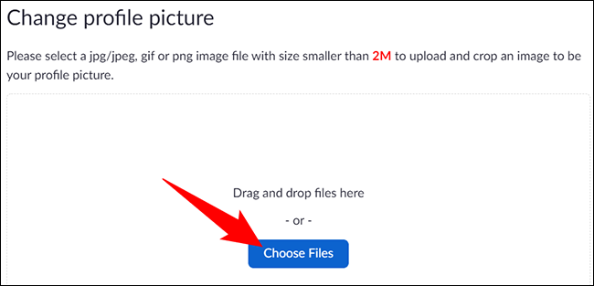 3-zoom-web-upload-picture