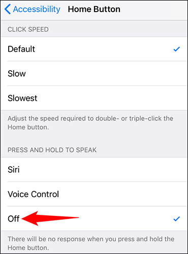 4-turn-off-voice-control-iphone