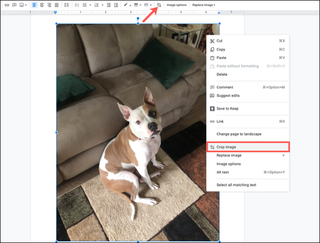 如何在 Google Docs 中裁剪、旋转和调整图像 如何在 Google Docs 中裁剪、旋转和调整图像