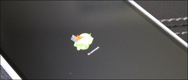 IMG_8463-650x433-1-650x277-1