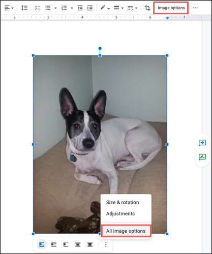 如何在 Google Docs 中裁剪、旋转和调整图像 如何在 Google Docs 中裁剪、旋转和调整图像