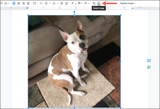 如何在 Google Docs 中裁剪、旋转和调整图像 如何在 Google Docs 中裁剪、旋转和调整图像