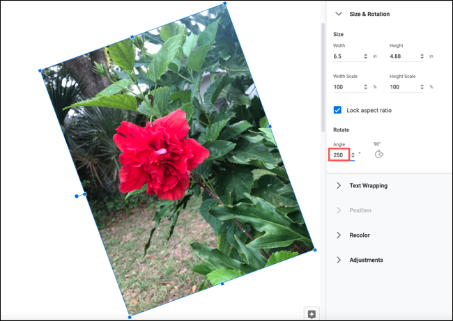 如何在 Google Docs 中裁剪、旋转和调整图像 如何在 Google Docs 中裁剪、旋转和调整图像