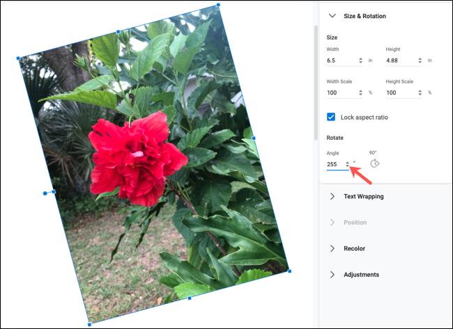 如何在 Google Docs 中裁剪、旋转和调整图像 如何在 Google Docs 中裁剪、旋转和调整图像