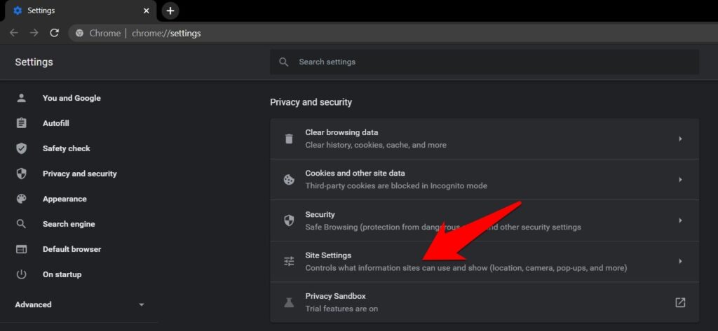 Site-Settings-Tab-in-Chrome-Computer