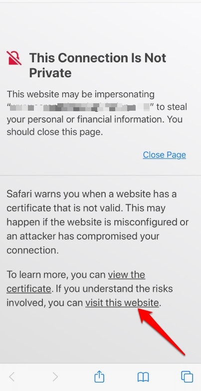 如何在 iPhone 上修复 Safari 的“此连接不是私有的”？
