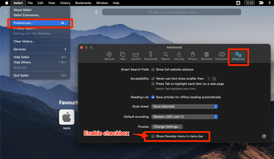Enable_checkbox_for_Show_Develop_menu_in_Safari_Menu_bar