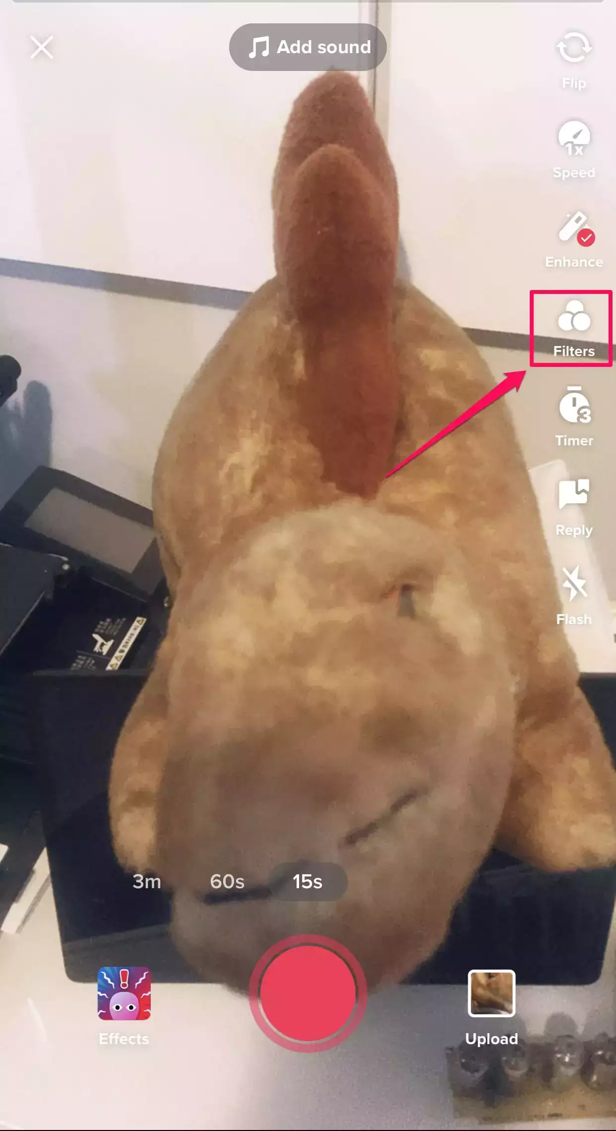 如何在 TikTok 上使用滤镜和效果来为您的视频添加风格 如何在 TikTok 上使用滤镜和效果来为您的视频添加风格