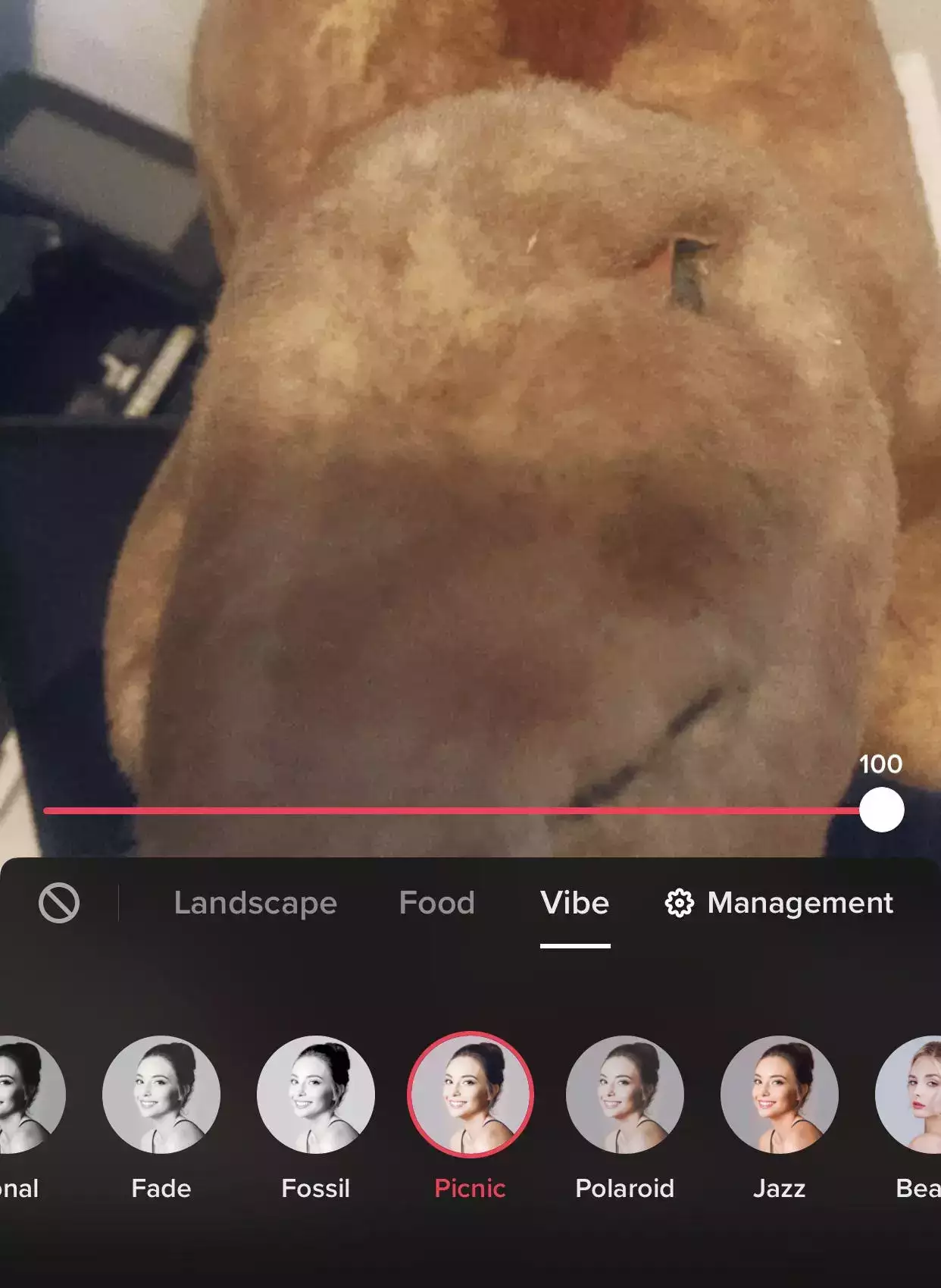 如何在 TikTok 上使用滤镜和效果来为您的视频添加风格 如何在 TikTok 上使用滤镜和效果来为您的视频添加风格