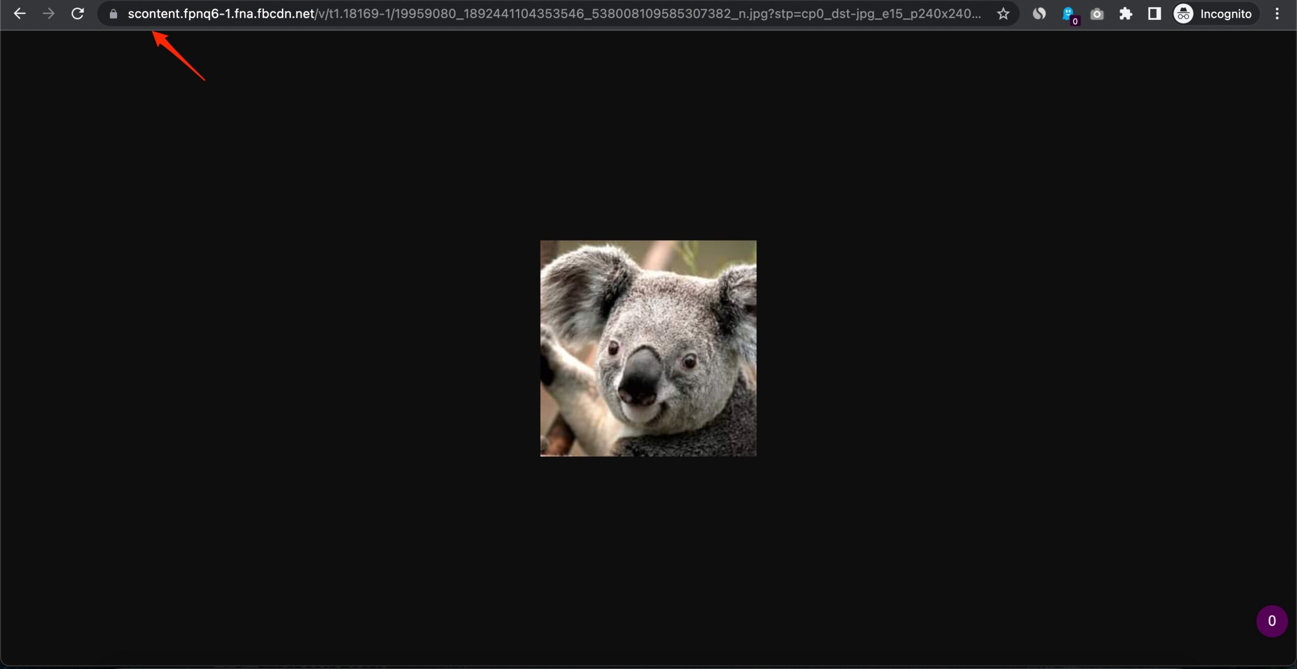 Profile_Picture_FaceBook-scaled-1