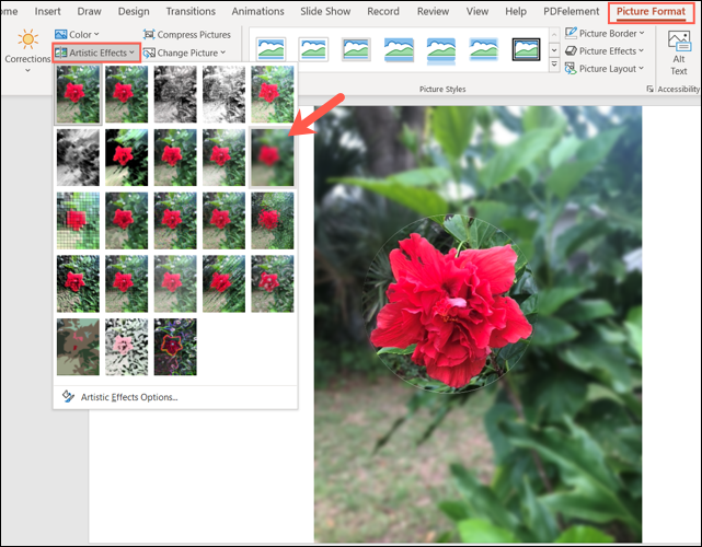 ArtisticEffectsBlur-PowerPointHighlightImage