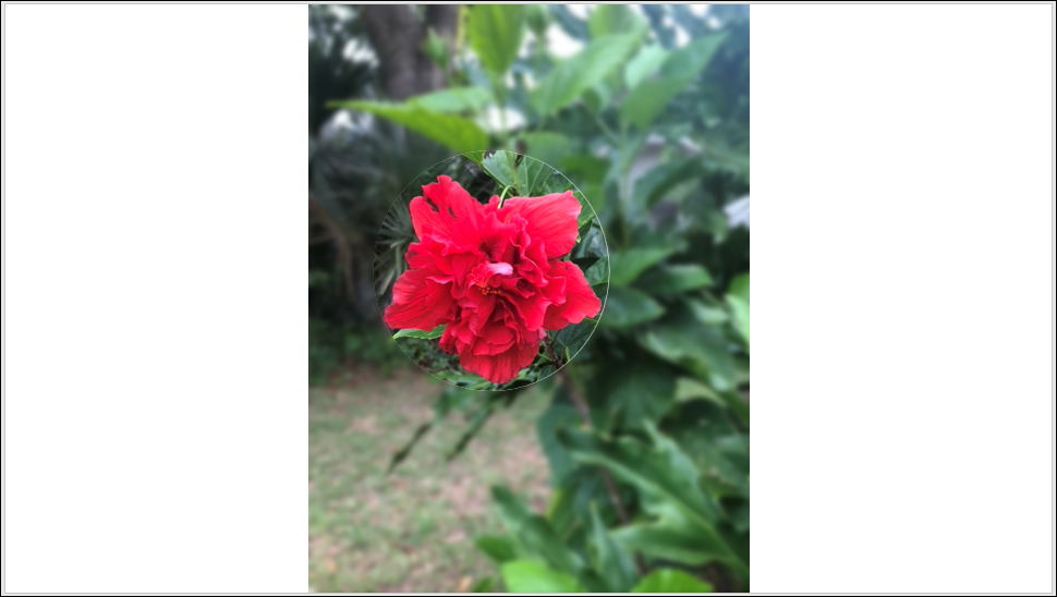 BlurredImage-PowerPointHighlightImage