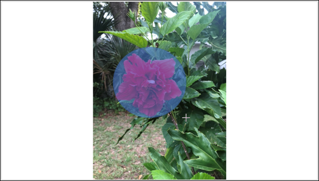 DrawShape-PowerPointHighlightImage