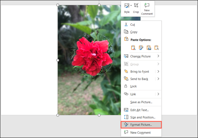 FormatPicture-PowerPointHighlightImage