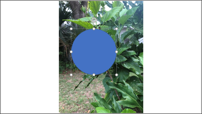 InsertedShape-PowerPointHighlightImage