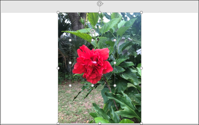 MergedFragmented-PowerPointHighlightImage