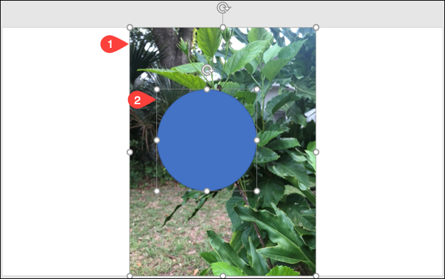 SelectPictureShape-PowerPointHighlightImage