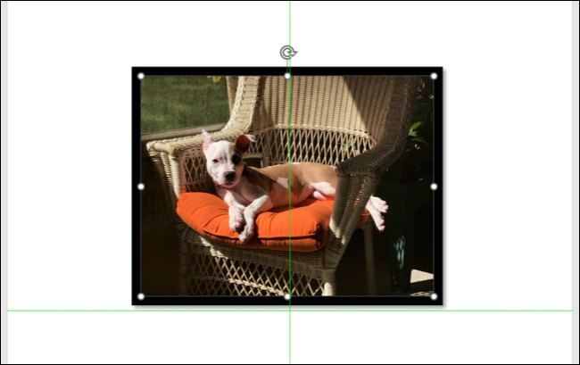 如何在 Microsoft Word 中完美对齐对象和图像 如何在 Microsoft Word 中完美对齐对象和图像