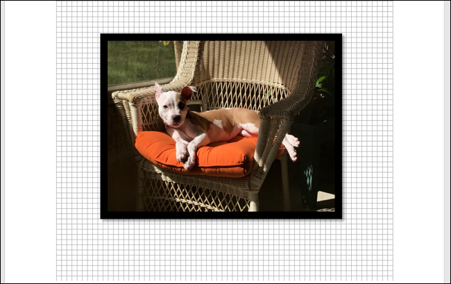 如何在 Microsoft Word 中完美对齐对象和图像 如何在 Microsoft Word 中完美对齐对象和图像